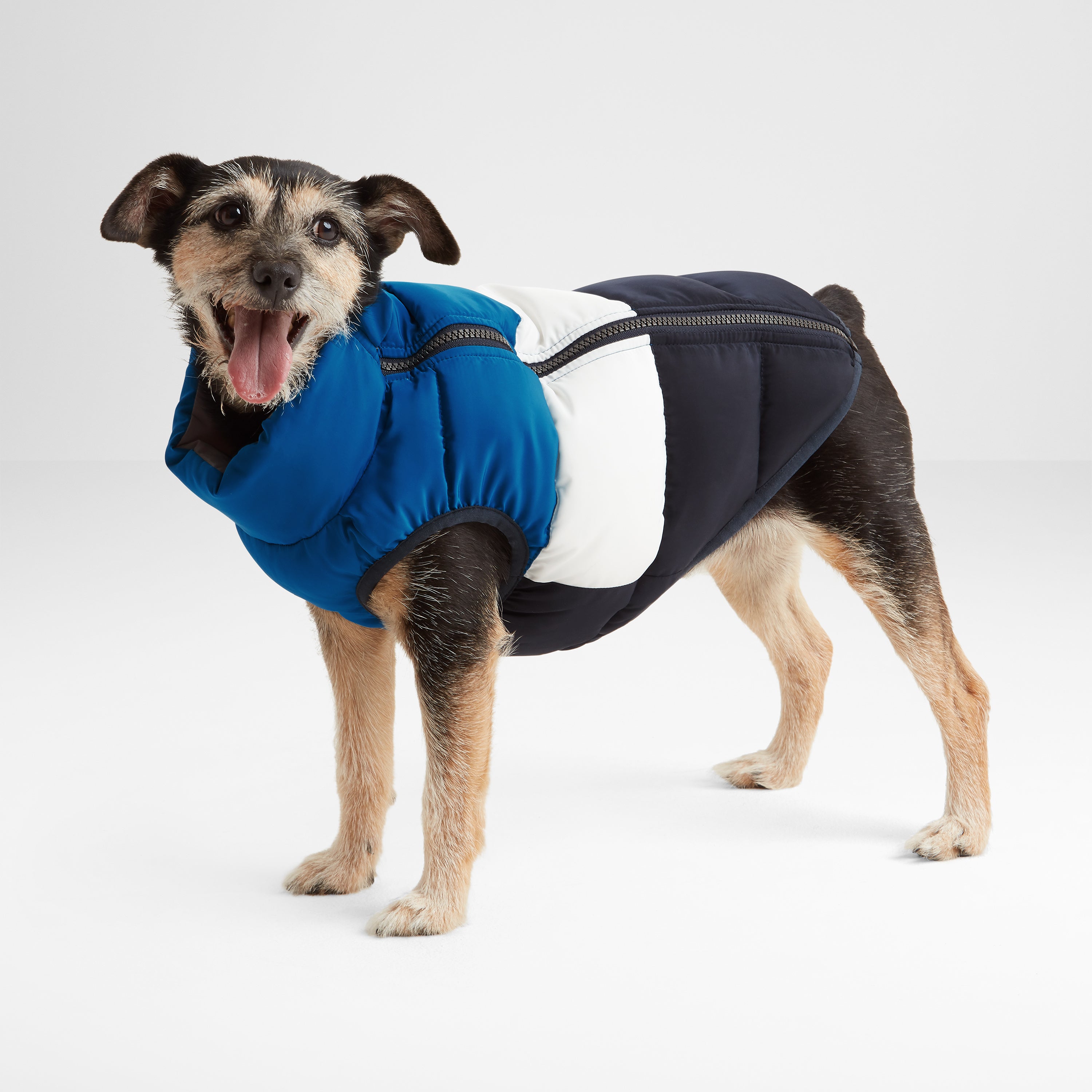Fido Dog Coats Klarna Fetch Padded Dog Coat S In Blue/Dark Indigo