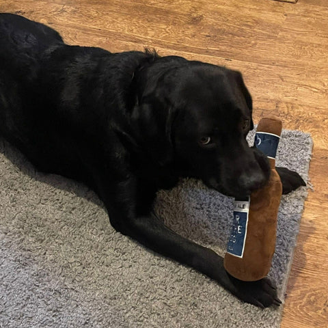 Lager Dog Toy