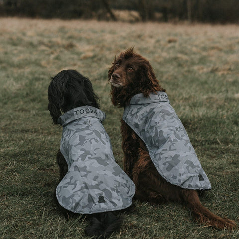 Hound Dog Coat Steel Camo AOP